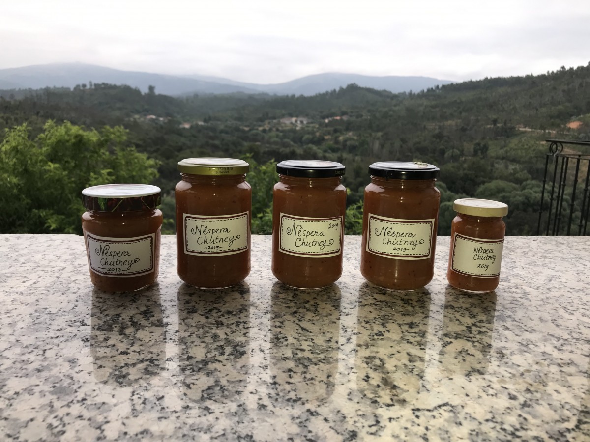 Vijf potjes chutney van loquatvruchten tegen een bergachtige achtergrond.