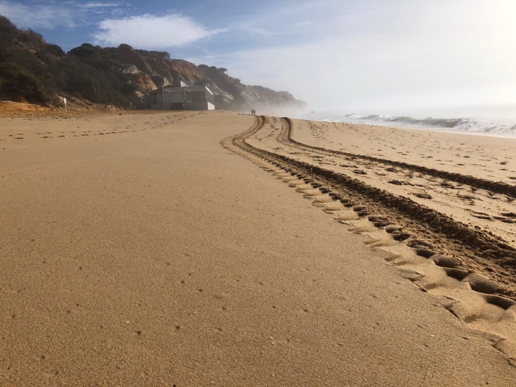 Mistig strand