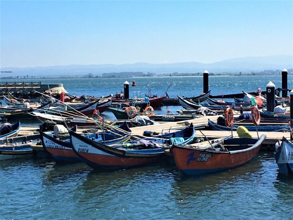 De vissersbootjes bij Torreiros vlakbij Aveiro