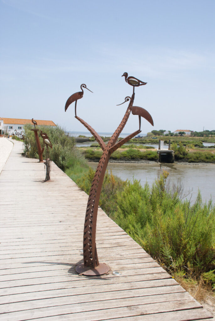 Ooievaars die met name in de Alentejo veelvuldig voorkomen. Op elke schoorsteen op elke paal zie je een nest ooievaars.