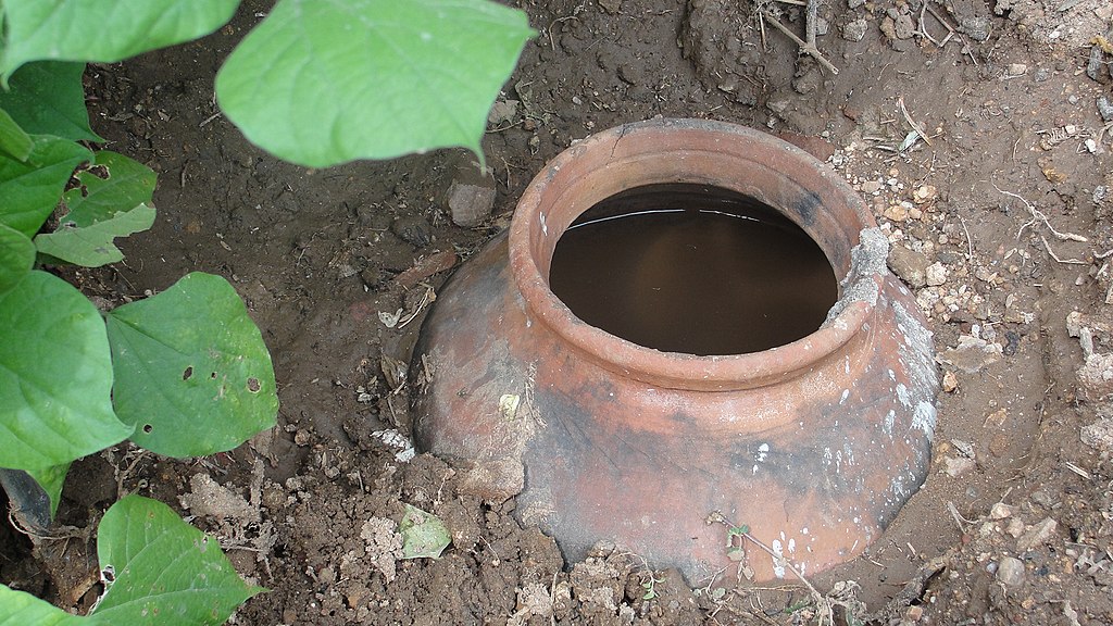 Een olla, een aardewerken pot die met water gevuld wordt ingegraven tussen de planten en gedoseerd water afgeeft.