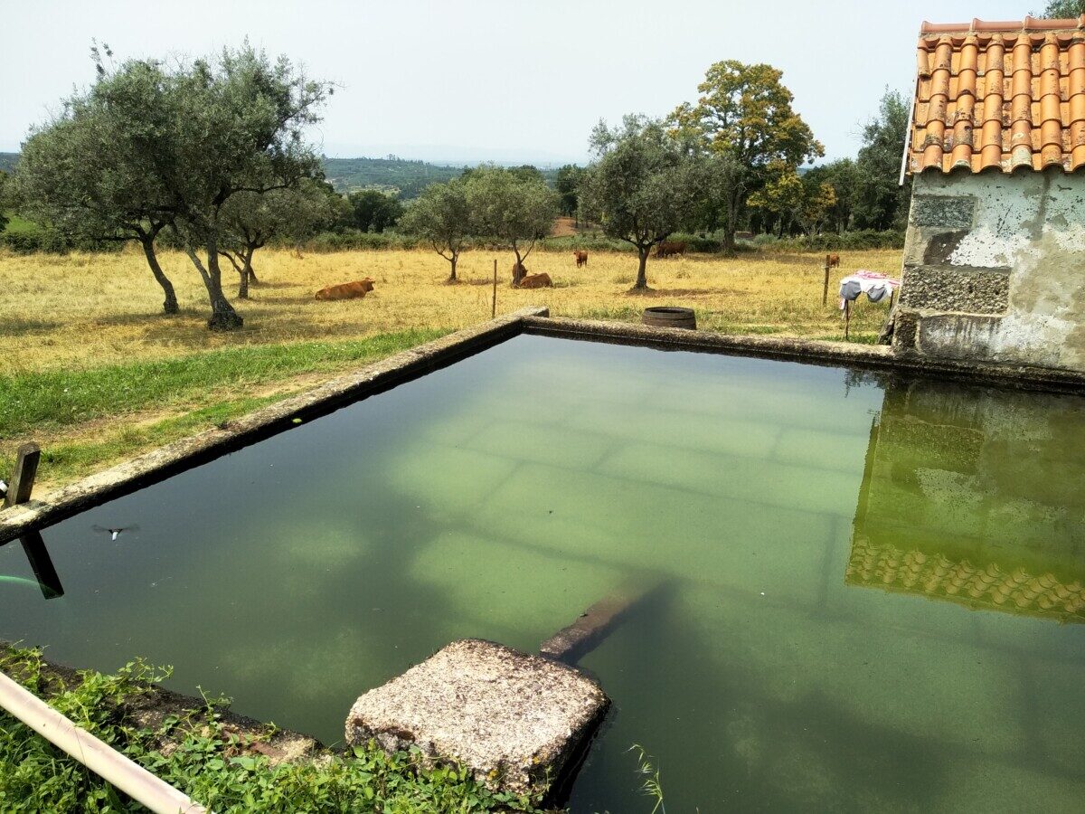 Ecodorp in de Serra de Estrela in Portugal