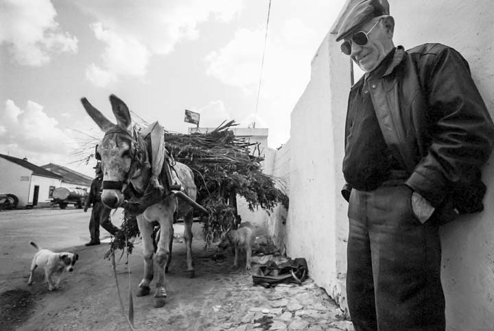 Ezelwagen met eigenaar in Aldeia da Luz