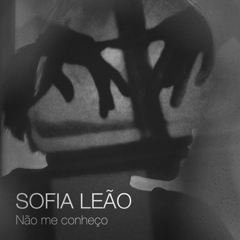 Hoes Não me Conheço