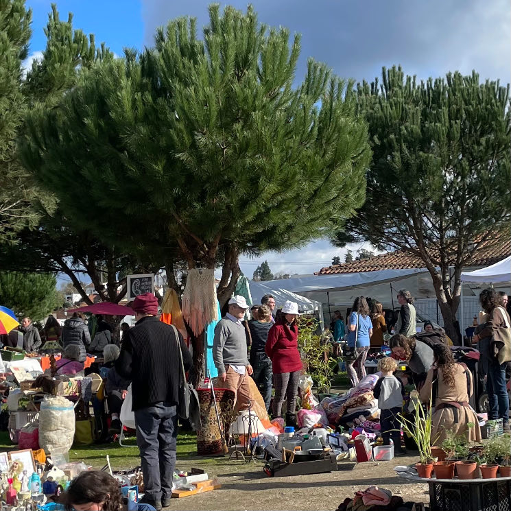 Markt Côja