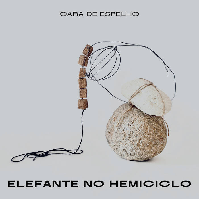 Hoes Elefante no Hemiciclo