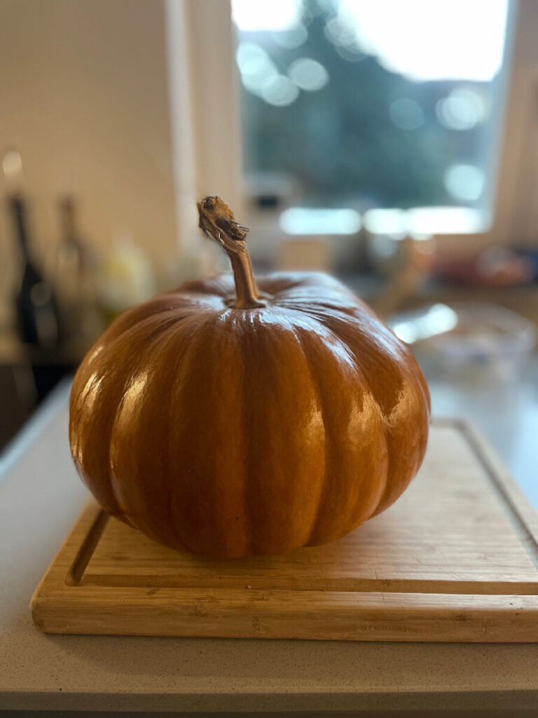 Grote prachtige pompoen