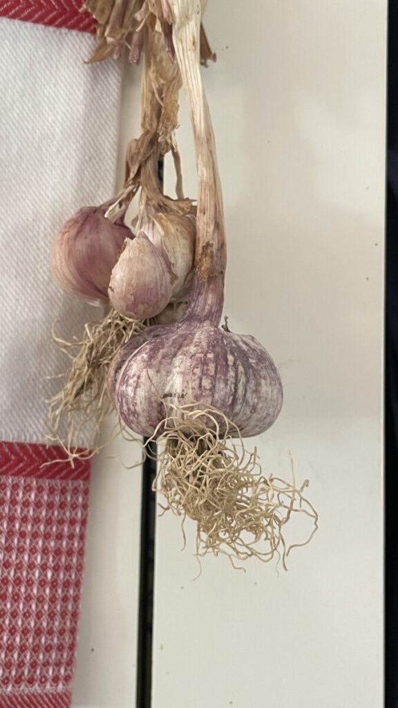 Bolletjes knoflook
