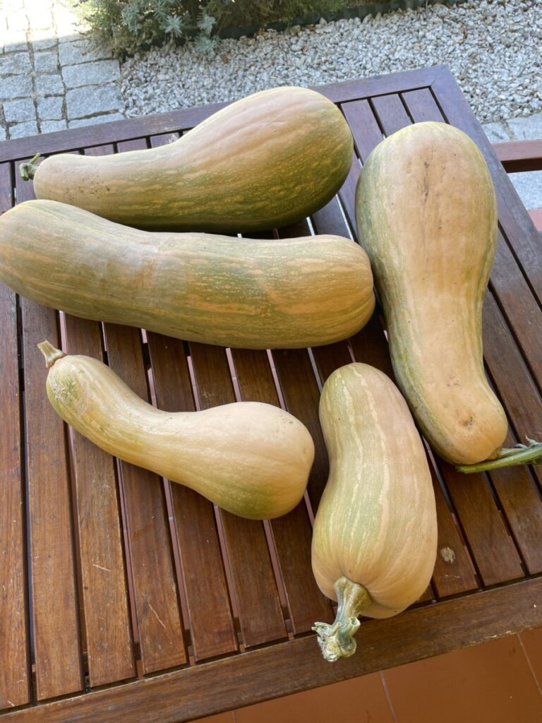 Flespompoenen
