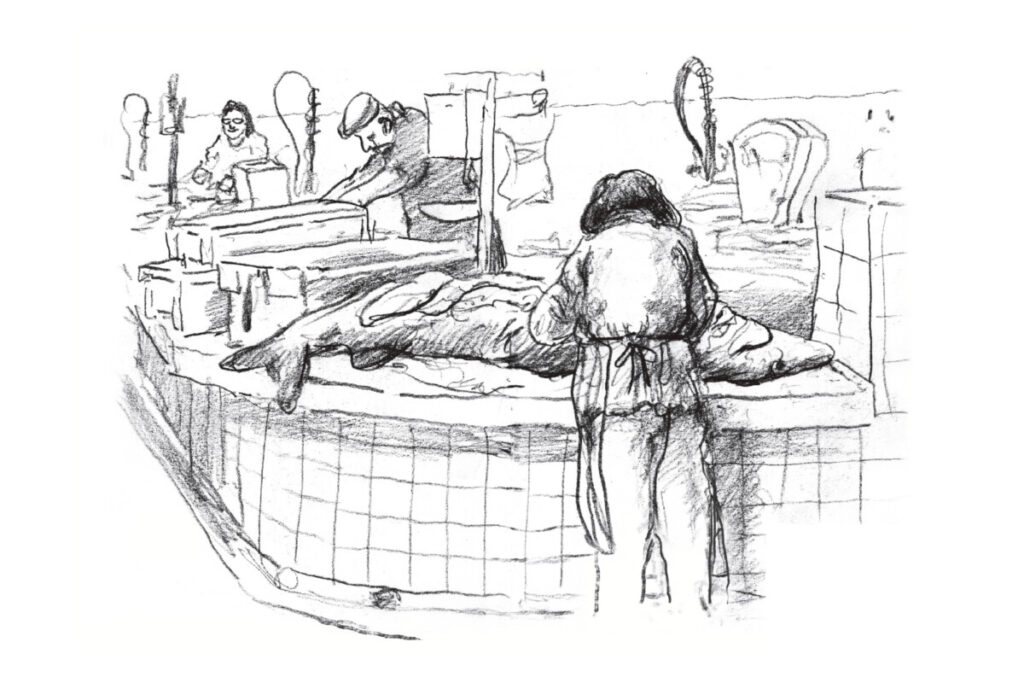 Tekening van de vismarkt in Olhão, Portugal