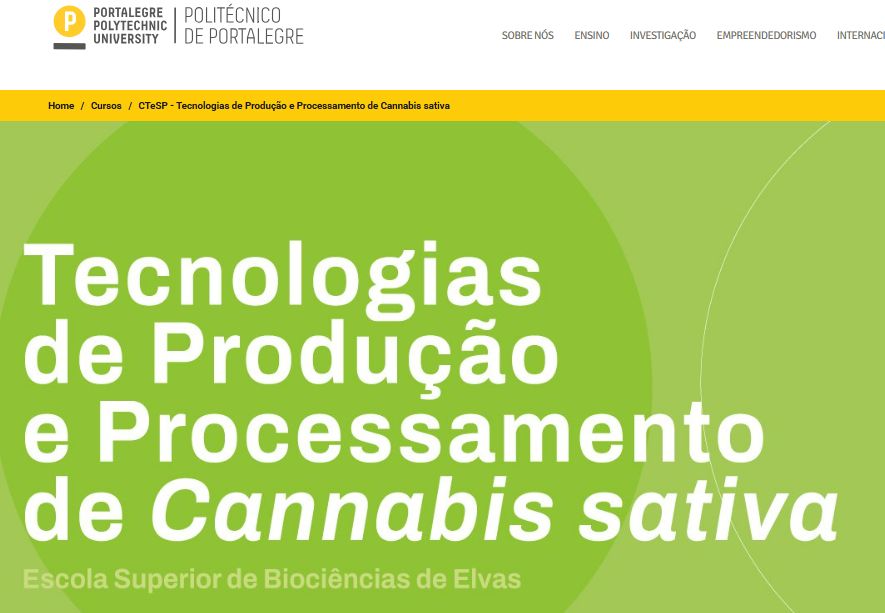 Aankondiging cursus wietkweken, Politécnico de Portalegre