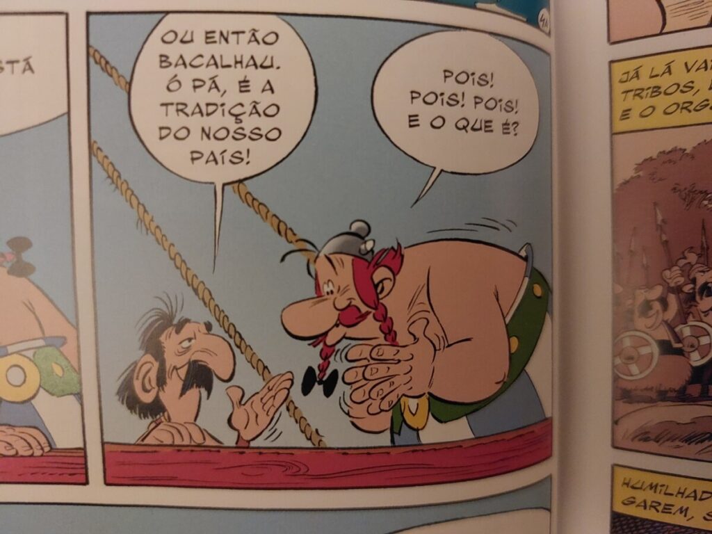 Foto uit een stripalbum van Asterix.
