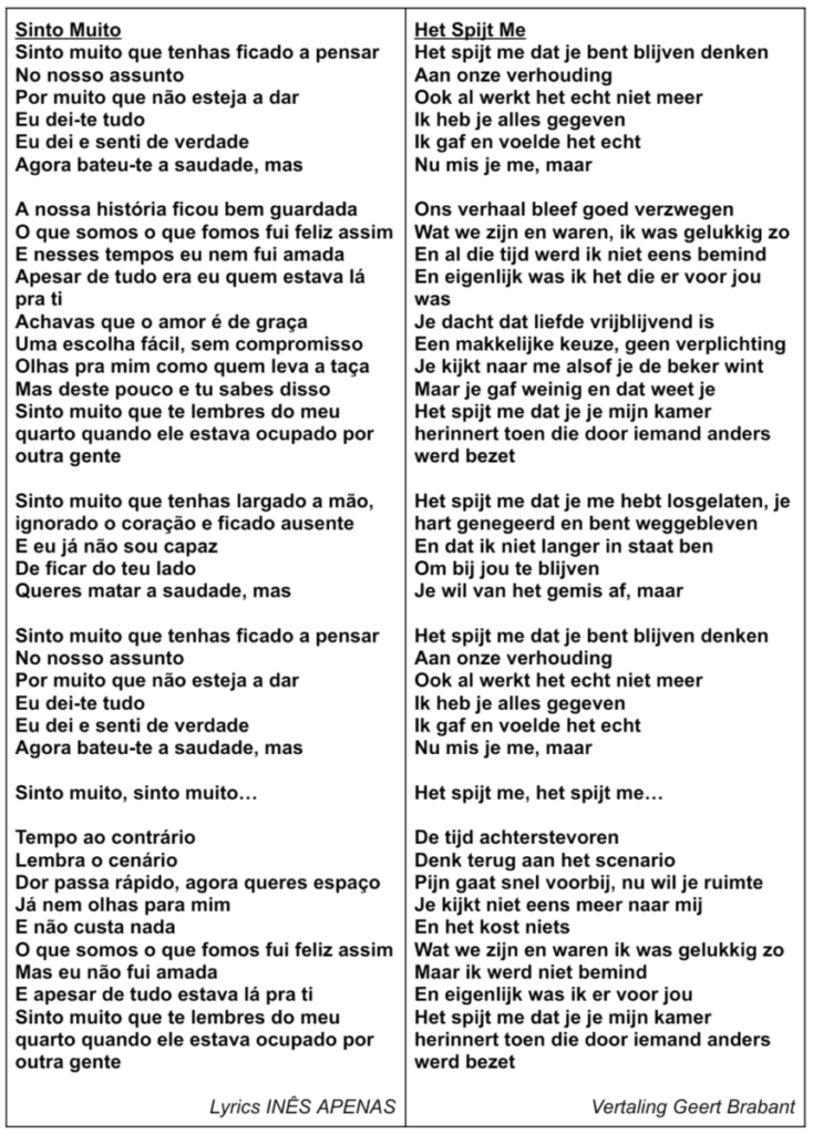 Tekst en vertaling van Sinto Muito