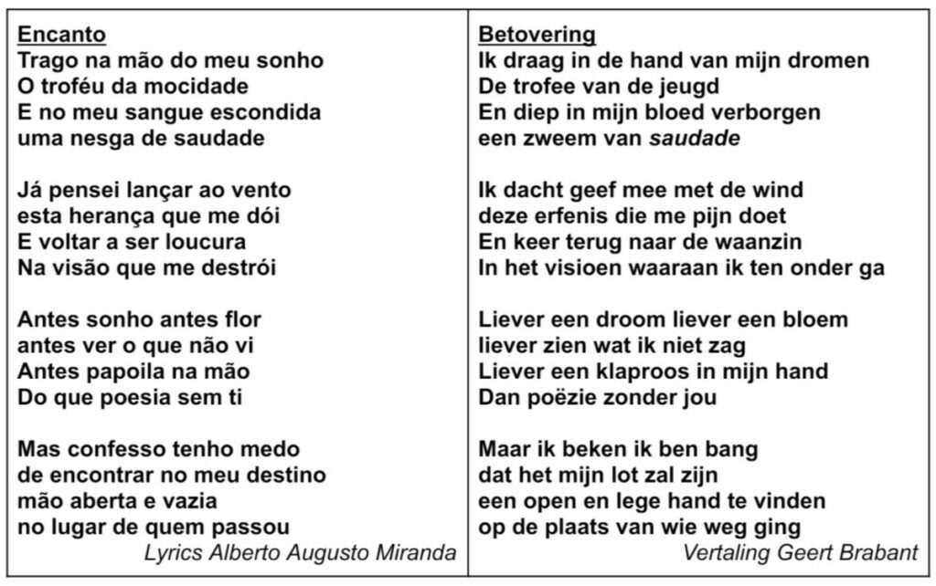 Tekst en vertaling Encanto
