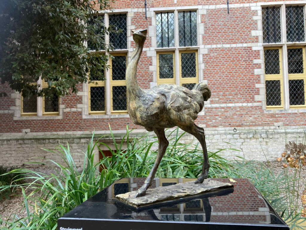 De struisvogel van Mechelen