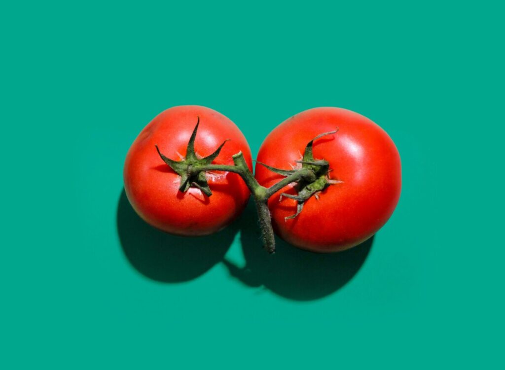 Twee tomaten.