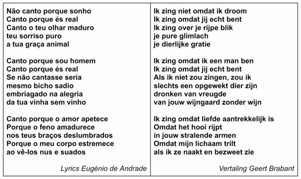 Tekst en vertaling van Não canto porque sonho