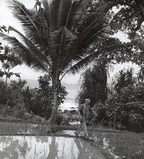 Politionele acties. Een Nederlandse militair in een sawah, West-Java, Indonesië