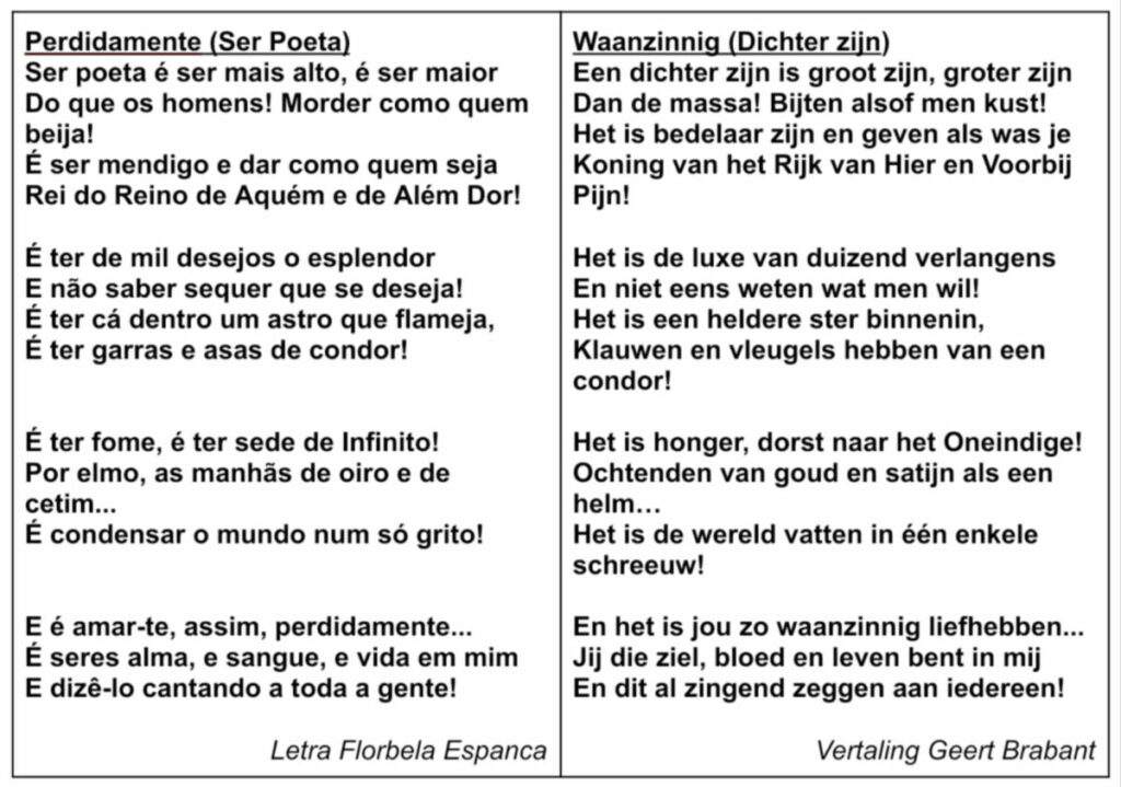 Tekst en vertaling Perdidamente (Ser Poeta)