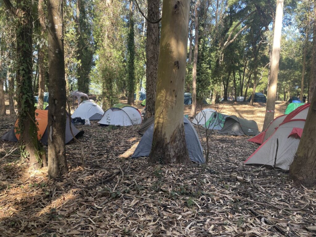 Lekker rustig plekje hier in de volle schaduw. Het ruikt er lekker naar eucalyptus