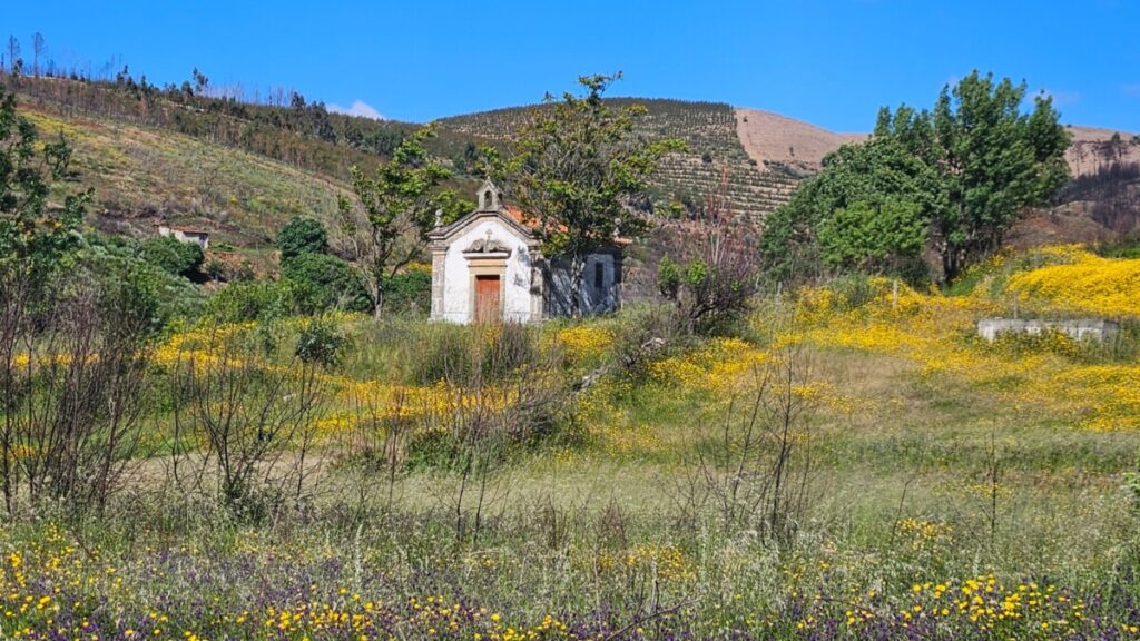 Kapelletje in Noord-Portugal in het groen