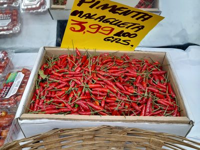 pimenta malagueta