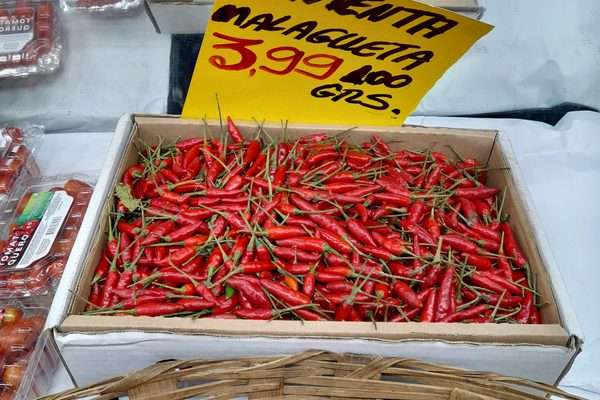 pimenta malagueta