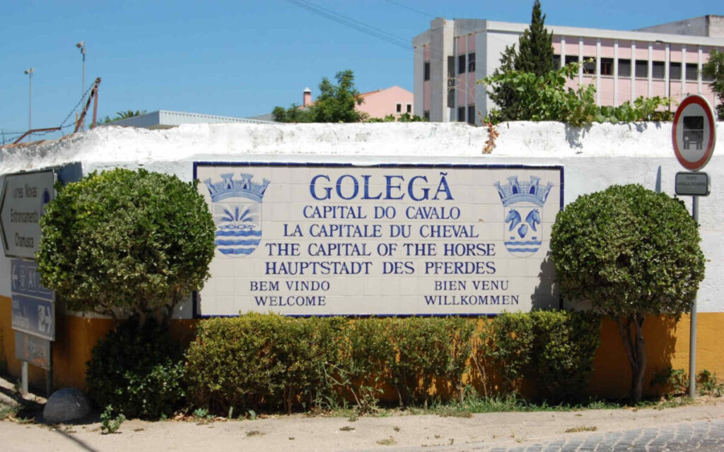 Golegã, portugese hoofdstad van het paard
